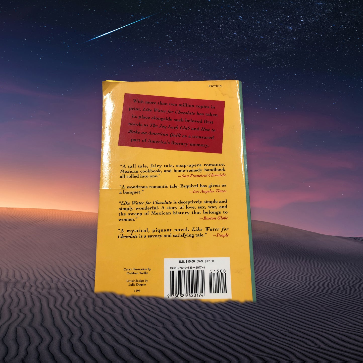 Like Water For Chocolate by Laura Esquivel (paperback-used book)