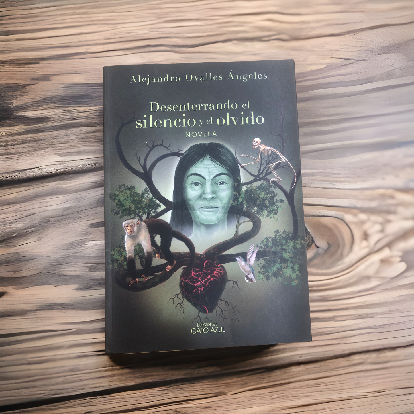 Desenterrando el silencio y el olvido por Alejandro Ovalles Ángeles (tapa blanda)