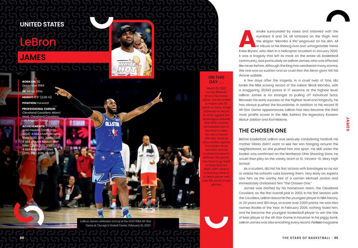 Stars of Basketball by Rodolphe Gaudin